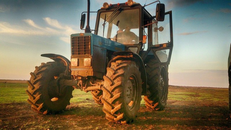Трактор МТЗ 82.1 В поле