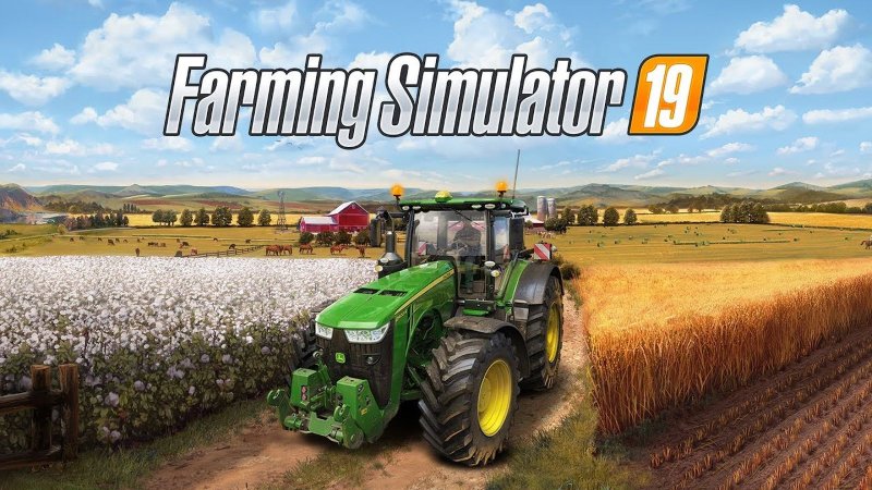 FS 19