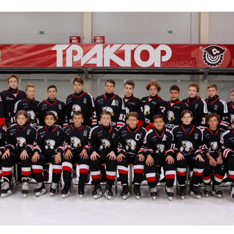 Состав команды трактор