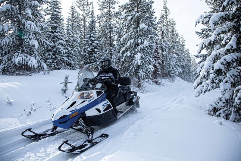 Snow Cat снегоход