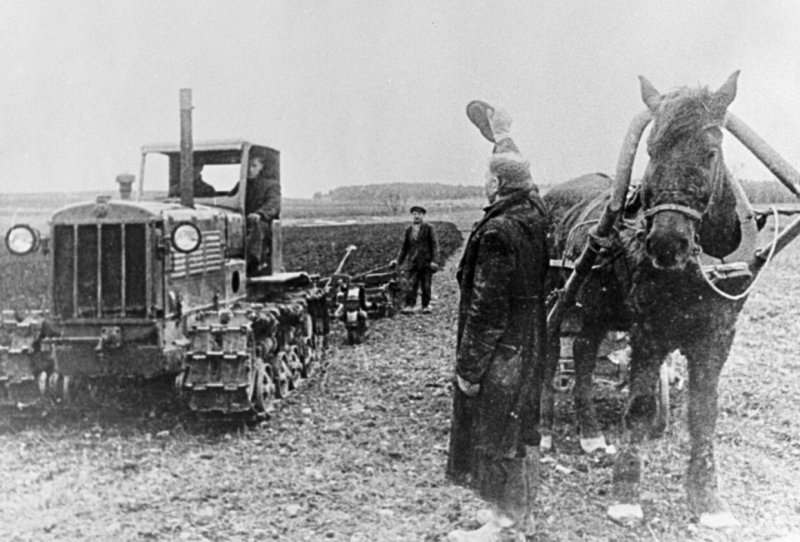 Сельское хозяйство в годы войны 1941-1945