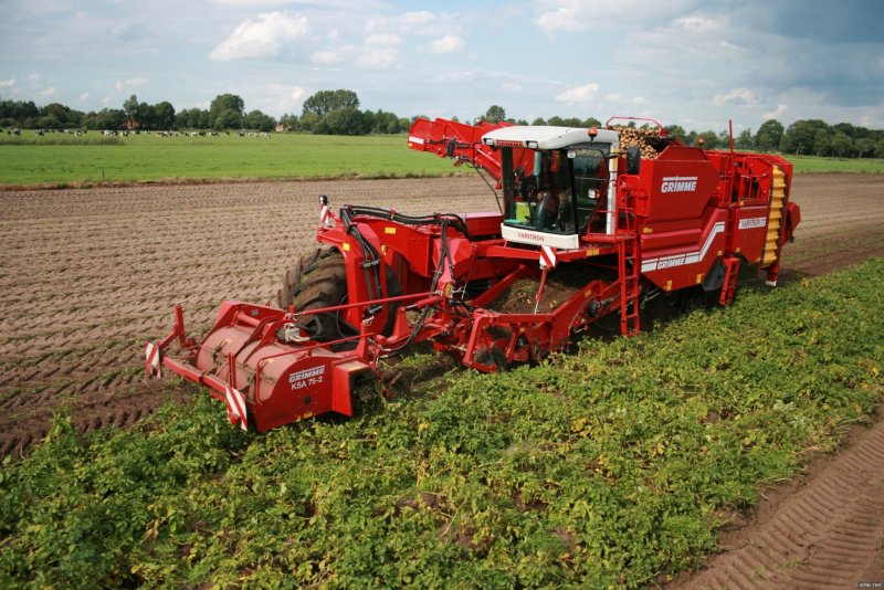 Комбайн Grimme Varitron
