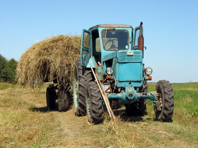 Т 40 сенокос