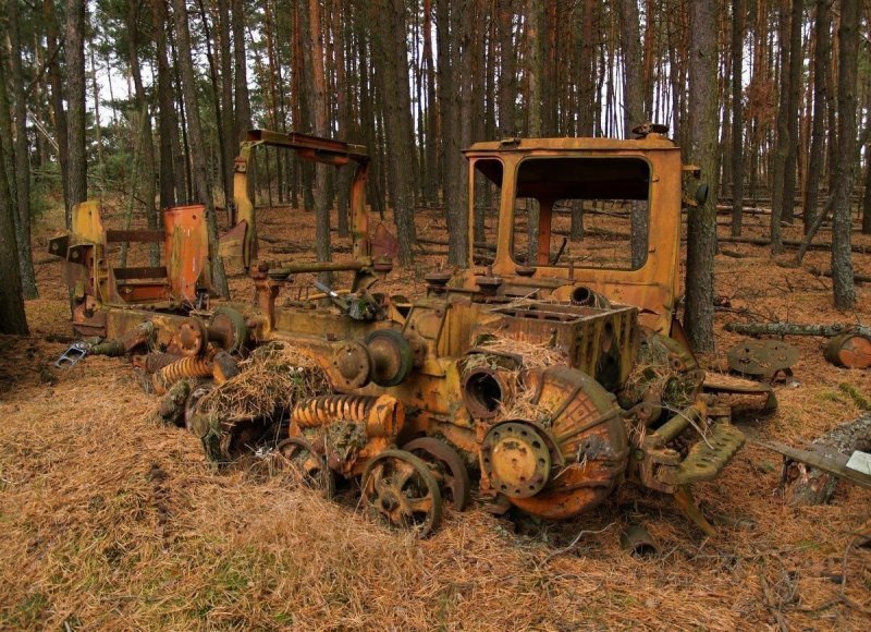 Трактор ДТ-75 В лесу