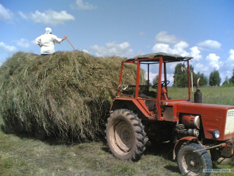 МТЗ 50 сенокос