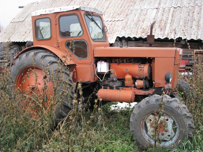 Трактор т-40 оранжевый