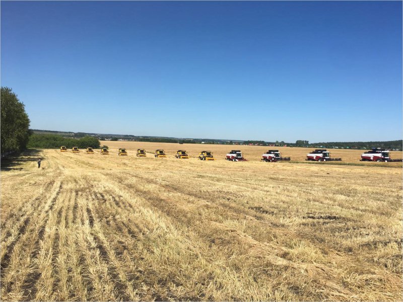 Поля трактора Башкирия