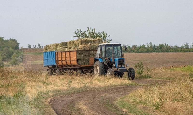 МТЗ 82 силосе