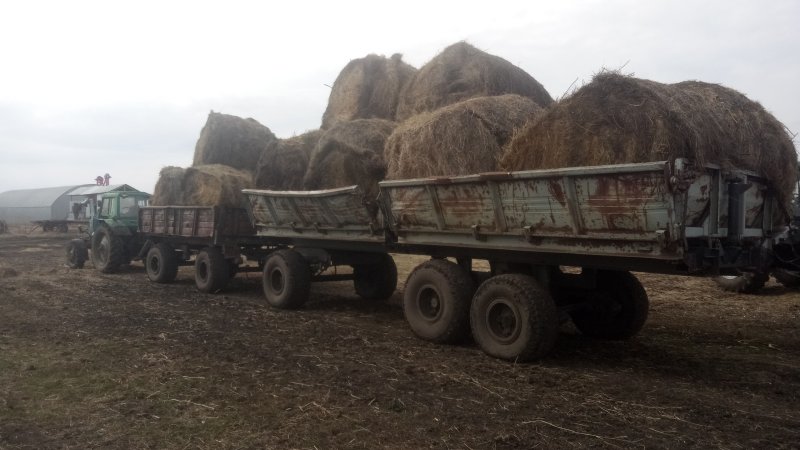 МТЗ 80 сено прицеп