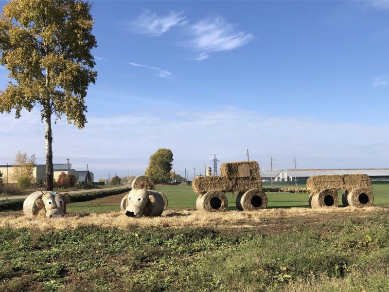 Агрофирма Мухино Зуевский район сайт