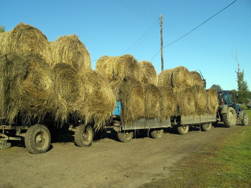 МТЗ 82 тюки соломы