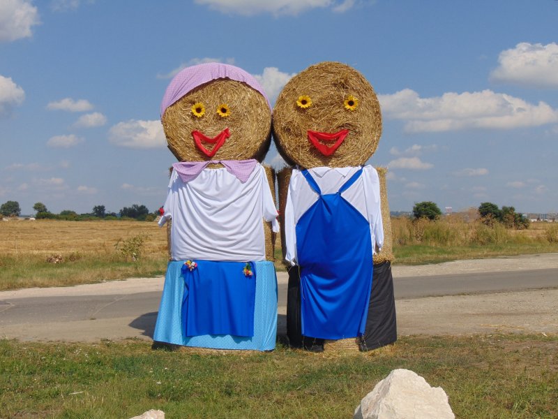 Поделки из рулонов соломы