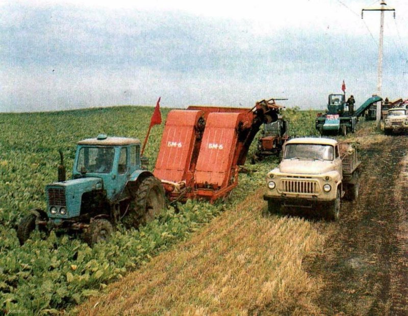 СССР комбайн и трактор МТЗ 80