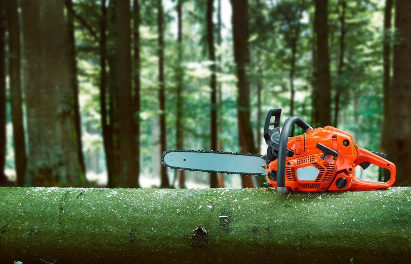 Бензопила Husqvarna 555 9660109-15
