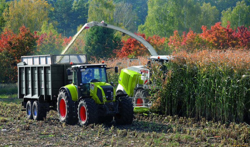 Трактор CLAAS заготовка силоса