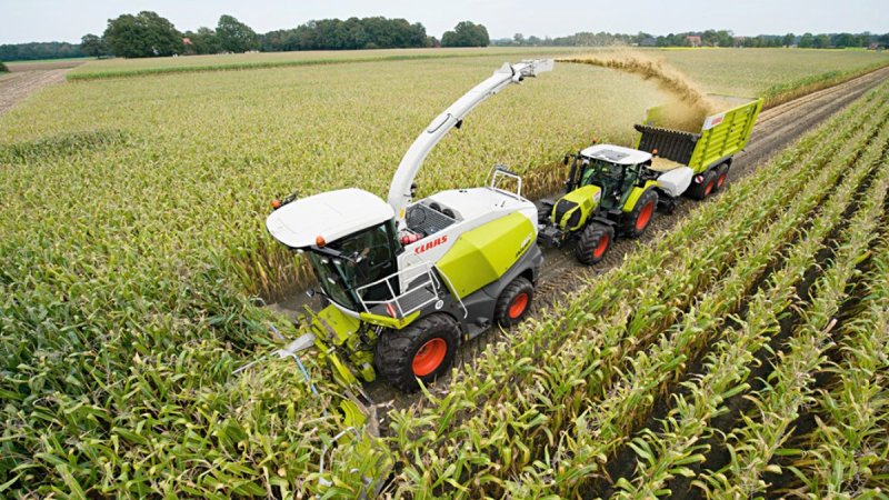Уборка кукурузы на силос (CLAAS, жатка Orbis 600)
