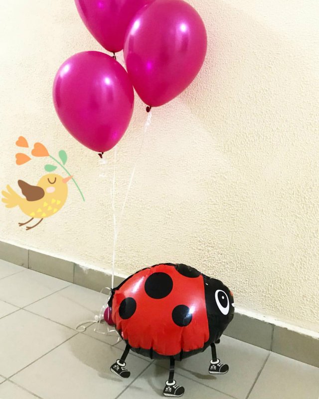 Ходячий воздушный шар
