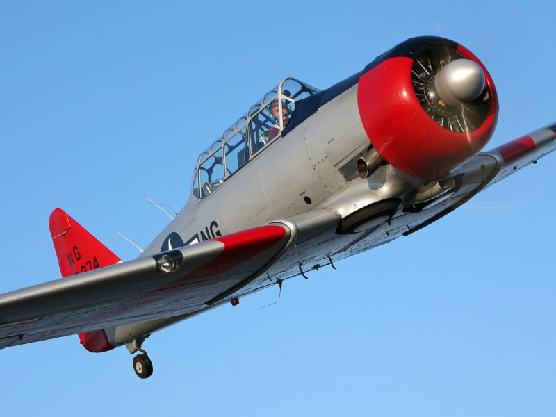 F2a Buffalo