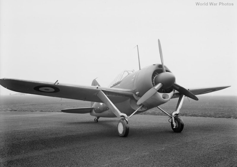 B-339 Buffalo Brewster in Museum