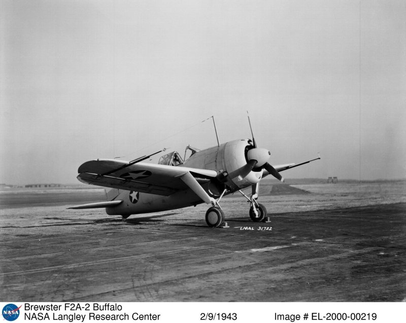 Brewster f2a Buffalo