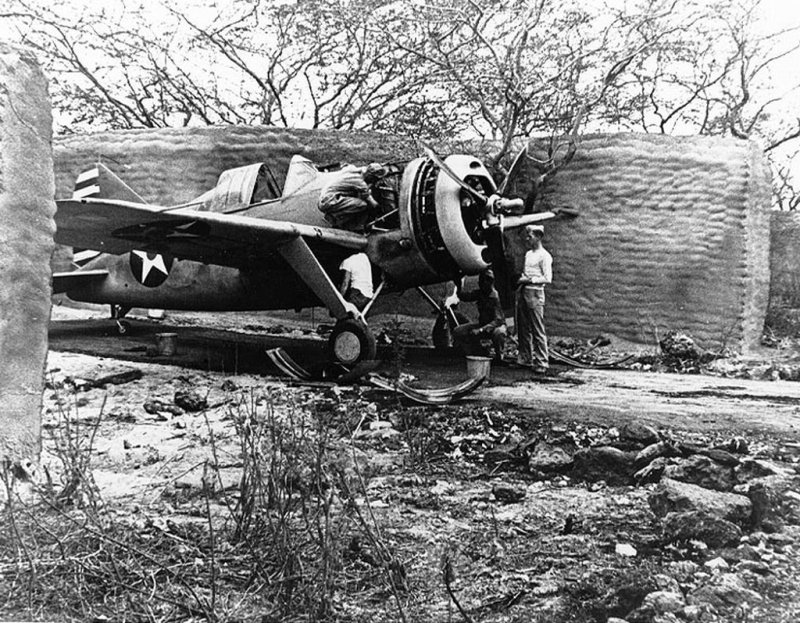 F2a Buffalo