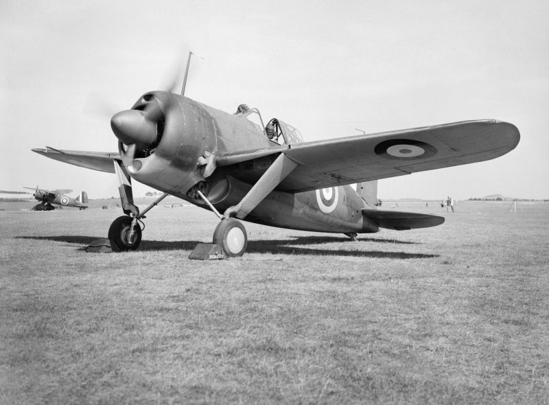 Brewster Buffalo самолет