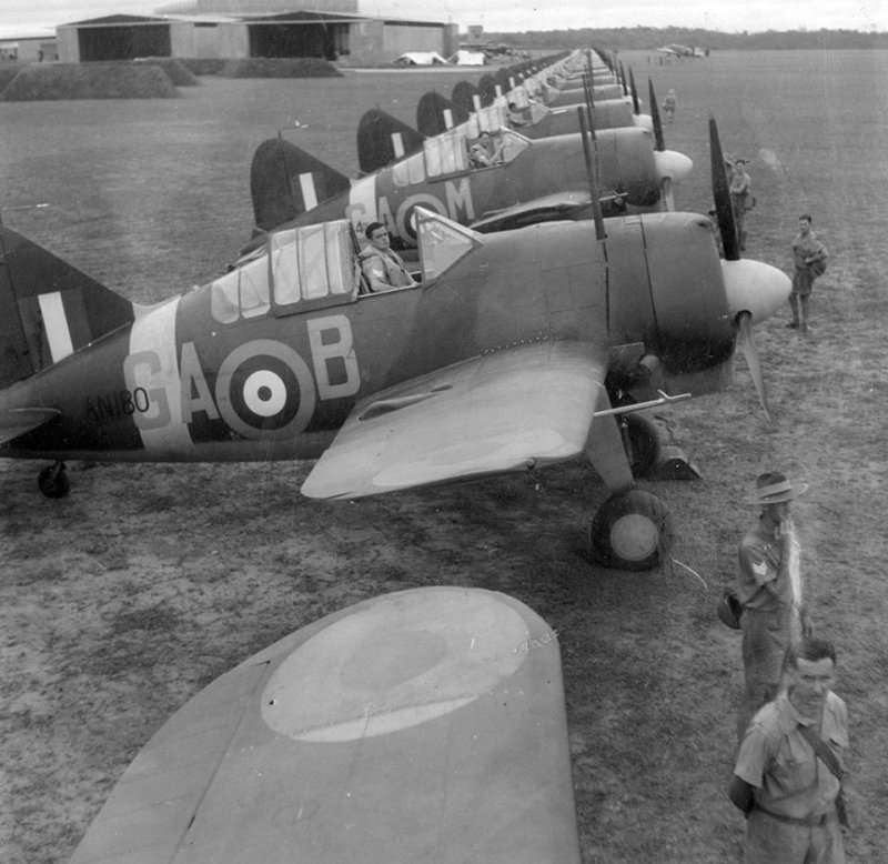 Brewster f2a Buffalo