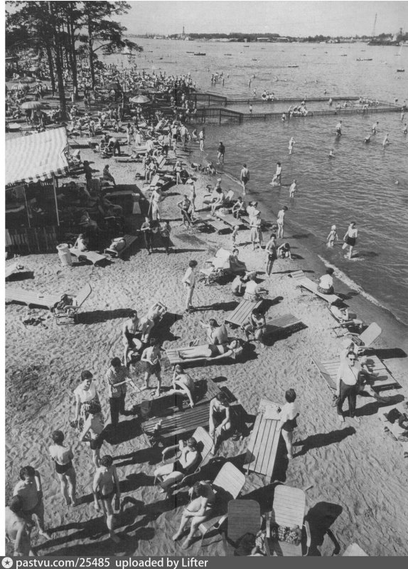 Пляж лебедь на Химкинском водохранилище