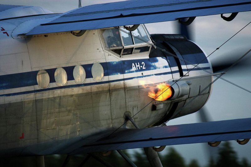 АН 12 кукурузник