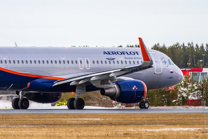 Аэрофлот Airbus a320 VP-BIF "Леонид Гайдай"
