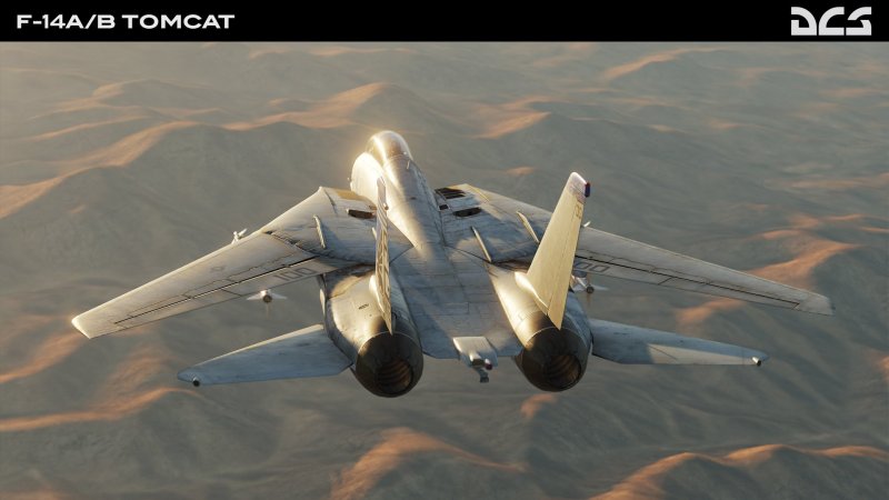 Ф14 Томкэт DCS