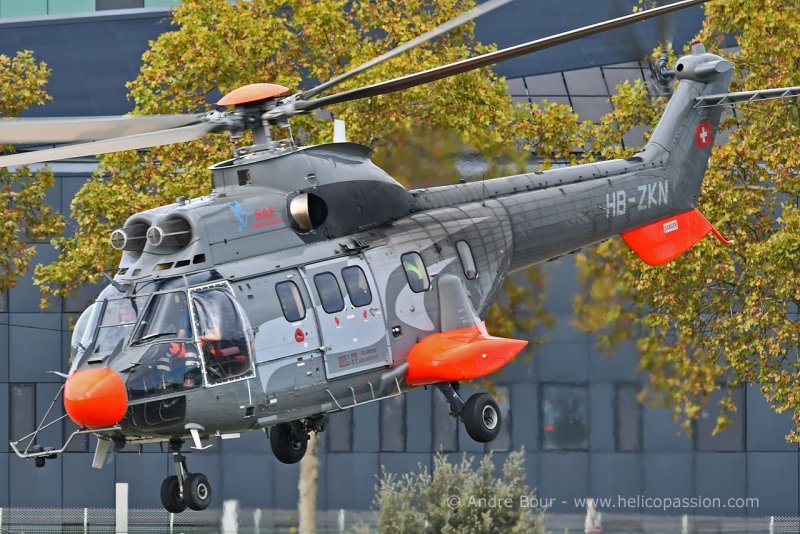 Cougar as332