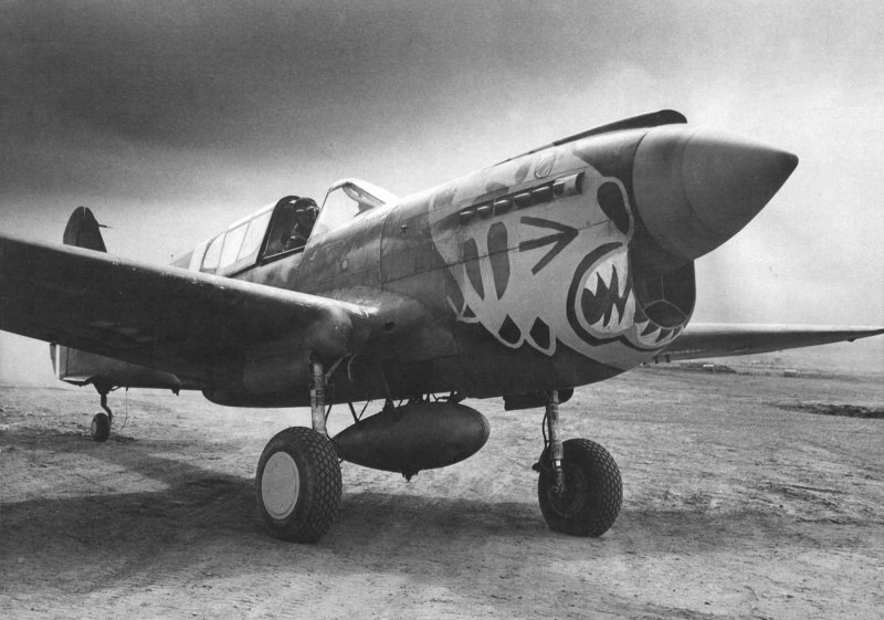 Самолёт p-40e Warhawk