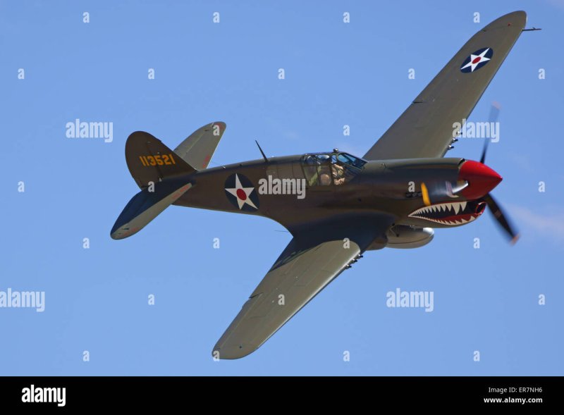 Xuvavi p40