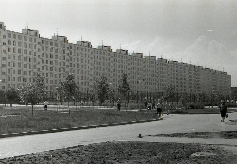 Тольятти 80