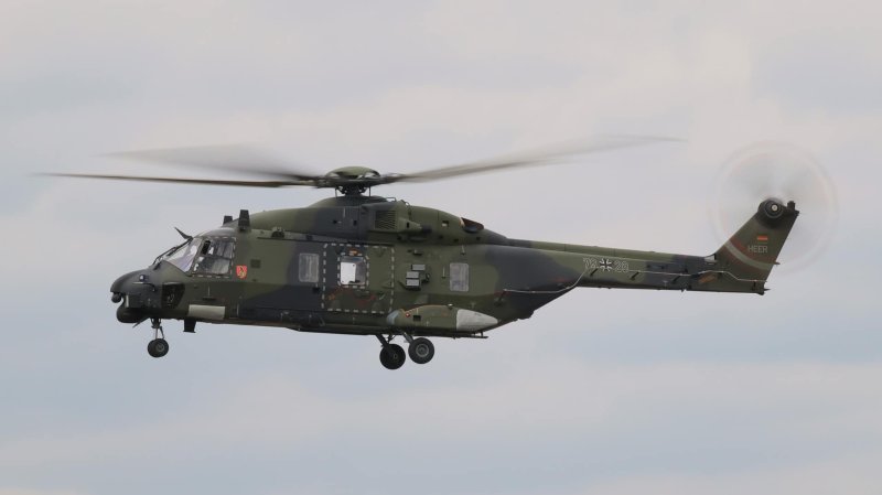 Military Fly