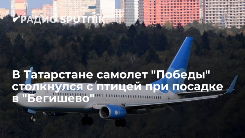 Маршрут самолета Нижнекамск Сочи