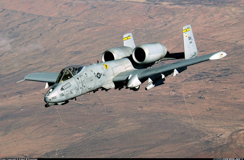 Бородавочник самолет а-10
