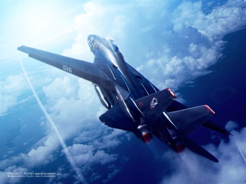 F-14 Tomcat Ace Combat