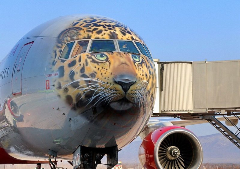 Боинг 777 Дальневосточный леопард