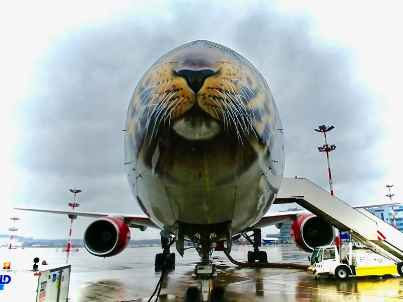 Боинг 747 Россия леопард
