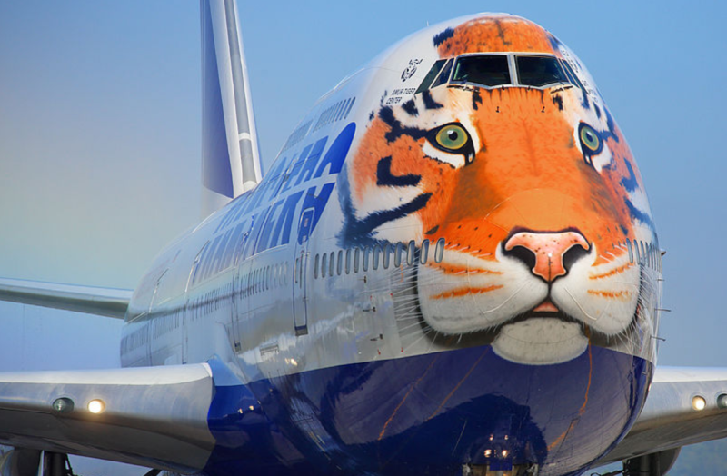 747 Трансаэро тигр