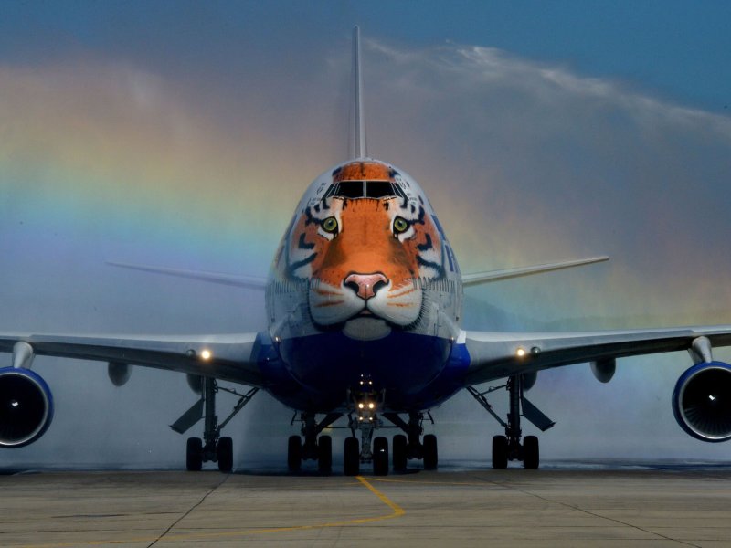 747 Трансаэро тигр