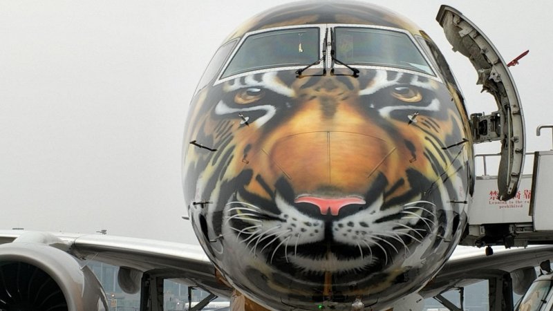 Боинг 747 Тигролет Россия