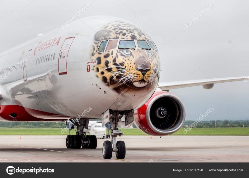 Боинг 777 Россия леопард