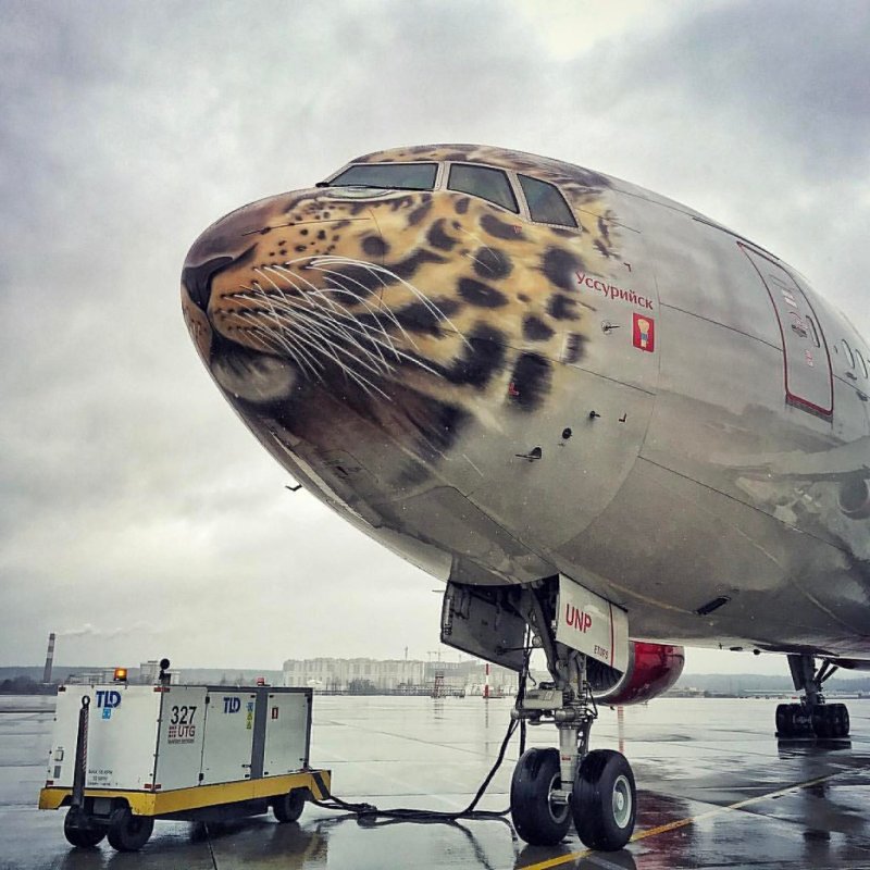 Боинг 747 леопард