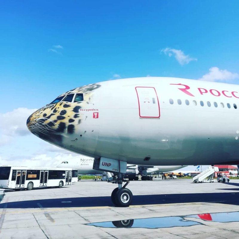 Боинг 777-300 Россия Хабаровск