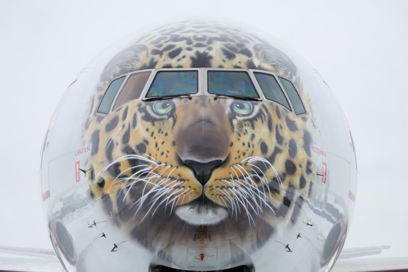Боинг 777 Дальневосточный леопард