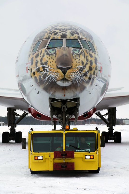 Боинг 747 леопард