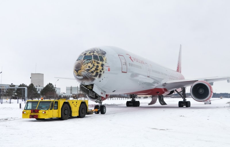 Боинг 777 авиакомпания Россия с тигром